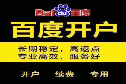 行业领先企业的百度广告推广经验分享